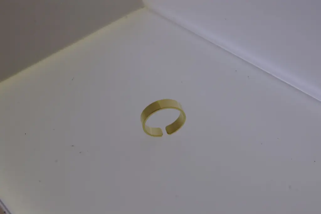 117640000_2.webp