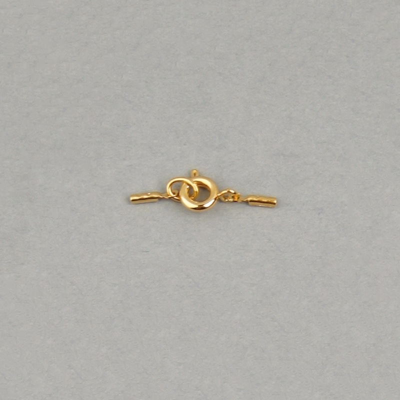 Set fermoir à resort Ø 6mm + 2 embouts pour fil Ø 0,6mm