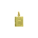 Bible box pendant 20x12mm