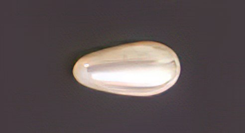Perle larme 12x6mm