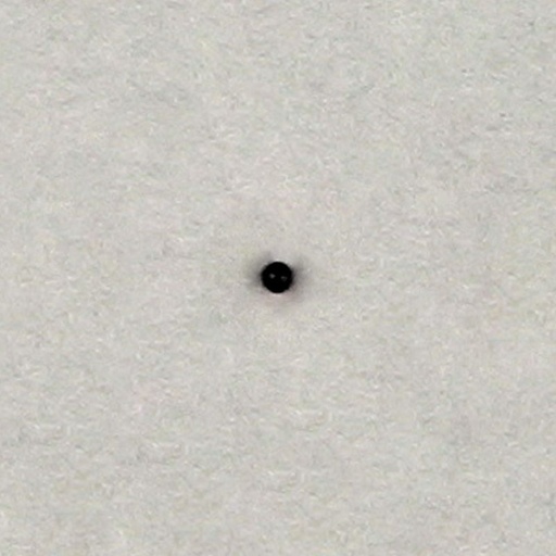 [750530200] Plastic ball Ø 2,5mm black colour