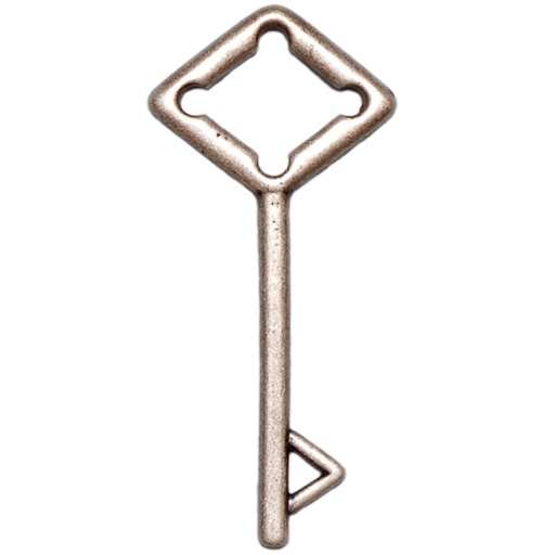 [830840000] Pendentif clef 63x29mm