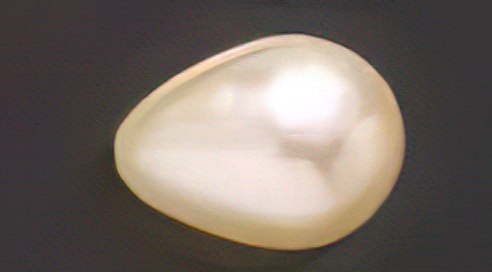 [435201400] Pear pearl 14x22mm