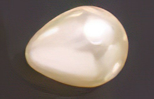 [435201600] Pear pearl 16x20mm