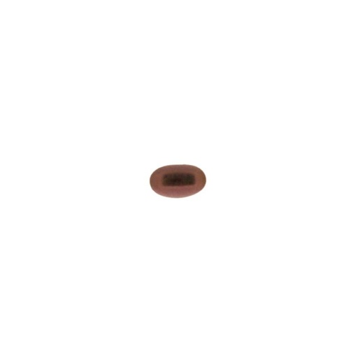 [750061000] Pierre cabochon oval 3x5mm base plate couleur améthyste