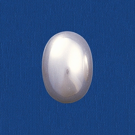 [435061600] Oval pearl flat base 12x16mm