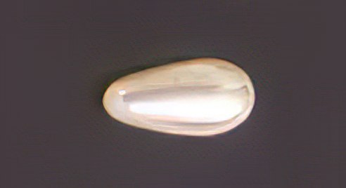 [435180600] Perla lágrima 12x6mm