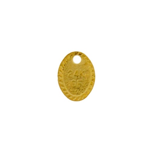 [911470000] Plaque engraved CH 24K" 8x6mm"