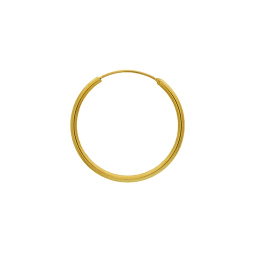 [810333000] Brass creole earring Ø30mm